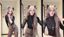 猫爪想要猫爪得到