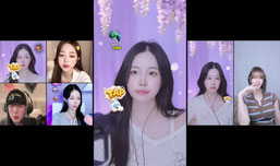 돌돌지