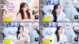 [사주] 고양이 인간  /고민상담/윷놀이도전 환영