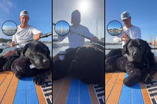 Sunny paddle #464