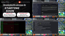 BINARY HACKING LIVE! Reverse Engineering Course & Web Security