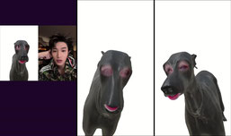 Hi