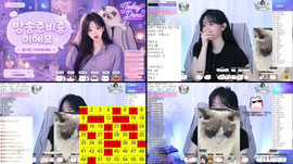 [HM:대리] 굼벵이먹방영상 보내드립니다.
