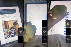 피평