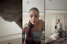 Untitled stream