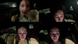 Record LA Heat & fighting dogs