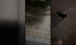 소통