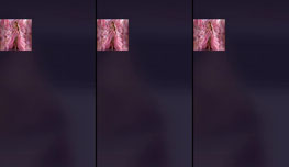 Click for fun!