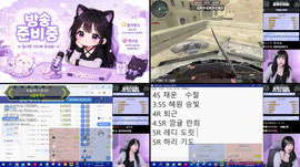 신입 서든 여캠 하리💓도릿이방이랑 찐막 33시간째 못 자는 중