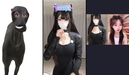 哞哞