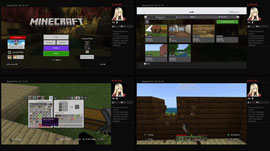 Playing Minecraft