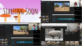 EDITING AND YAPPING