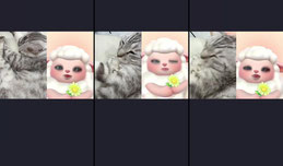 123