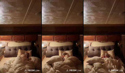 Sleep CAM 💋 (muted)