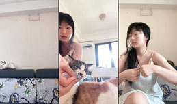 小猫睡播
