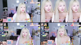 비둘기랑 노올자 ~