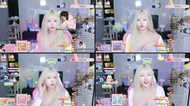 비둘기랑 노올자 ~