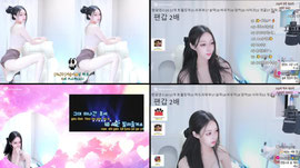 바우치 19개
