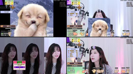 여캠 ʕ•ᴥ•ʔ    더버더버