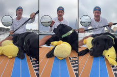 TGIF paddle #468