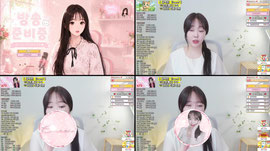 🤍 사절  🤍