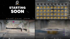 OPENING CASES