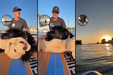TGIF paddle #469
