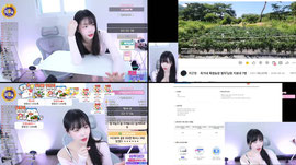 [최가네] 여행지 추천 받아요