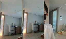 노브라