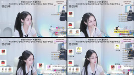 바우치 19개 팬더계의 벤탄시장