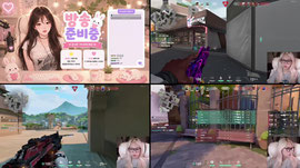 발로란트발로란트발로란트
