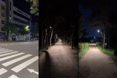 SOUTH KOREA Forest ☠️ 3:00AM