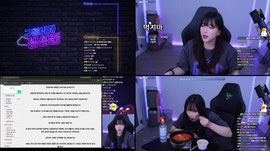 클립/캐치X 불펌X