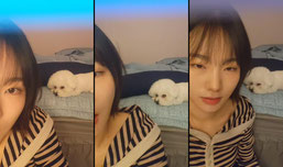 신입고민상담 강아지들이랑 소주를먹어말아