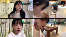 유기묘 카페 냥냥🐈