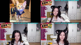 캣경찰 출동....!!! =^o.o^=