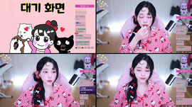 은퇴방송
