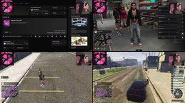 THE PALMS RP