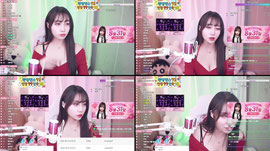 (신입) 채리예요