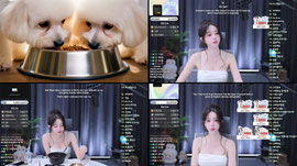 많은 관심 감사드립니다.