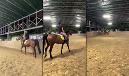 🐎去骑马
