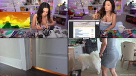 Alinity 24/7