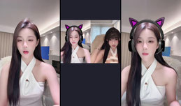 温婉亦倾城
