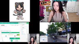 오늘 좀 기분이 좋은캣