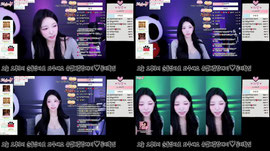 [녹] 순둥상사 말랑채이를 찾아주세요 .. ♥