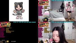 초카와이갸루캣