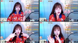 41일차] 굶어죽어요..