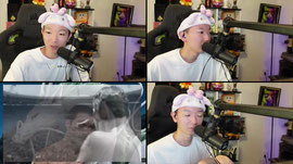 Untitled stream