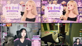 찐신입) 이따 11시부터 한별X키박 메챠카멜레온 할 예정@!!
