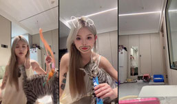 像不像你的前女友👀